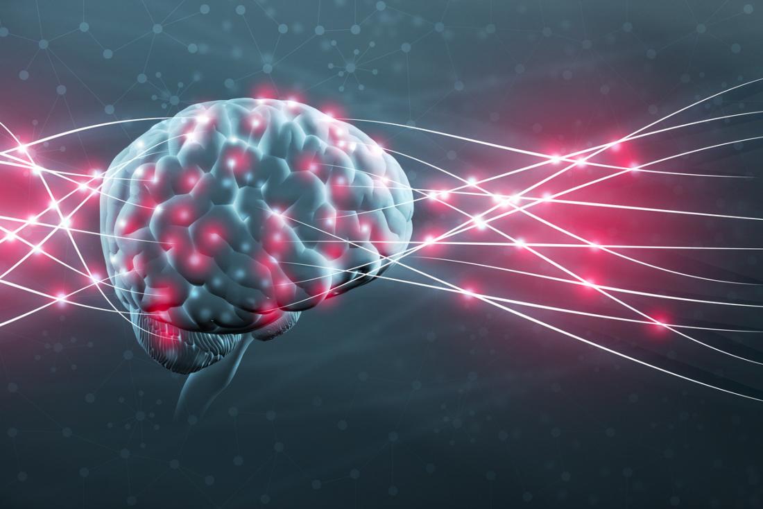 Understanding Neuroplasticity